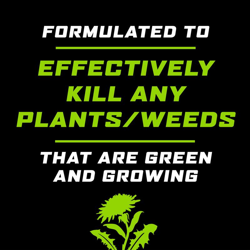 Ortho GroundClear Weed and Grass Killer RTU Liquid 1 gal, Pack of 4