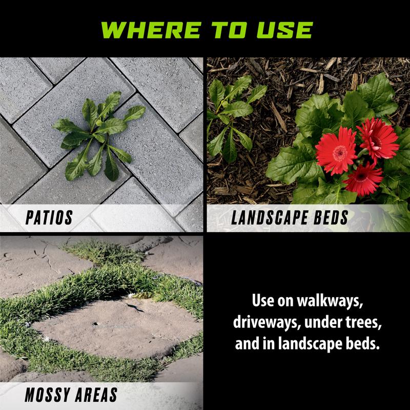 Ortho GroundClear Weed and Grass Killer RTU Liquid 1 gal, Pack of 4