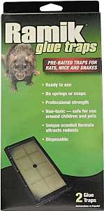 Neogen 116230 Glue Trap, Pre-Baited, Clear/Light Yellow, Pack of 12