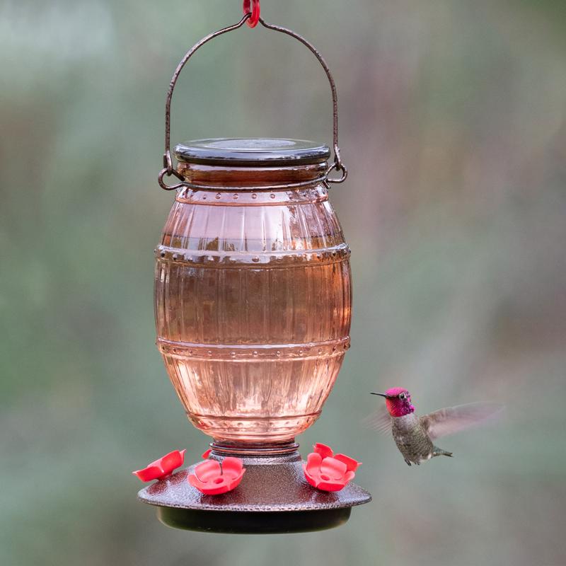 Perky-Pet Hummingbird 36 oz Glass/Plastic Prohibition Nectar Bird Feeder 5 ports, Pack of 2
