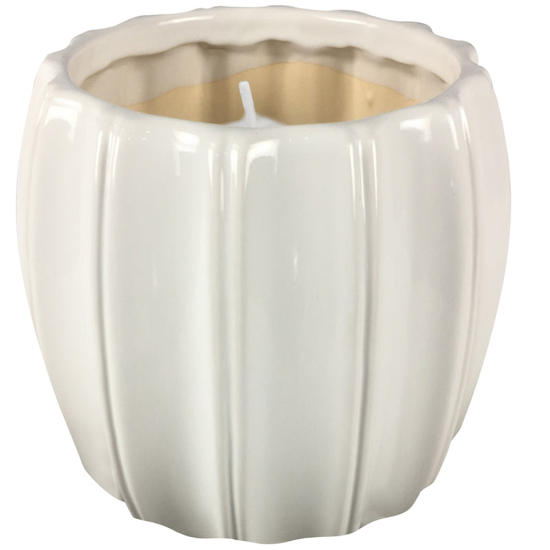 OutDoozie Assorted Ceramic 4 in. H Contour Citronella Candle, Pack of 9