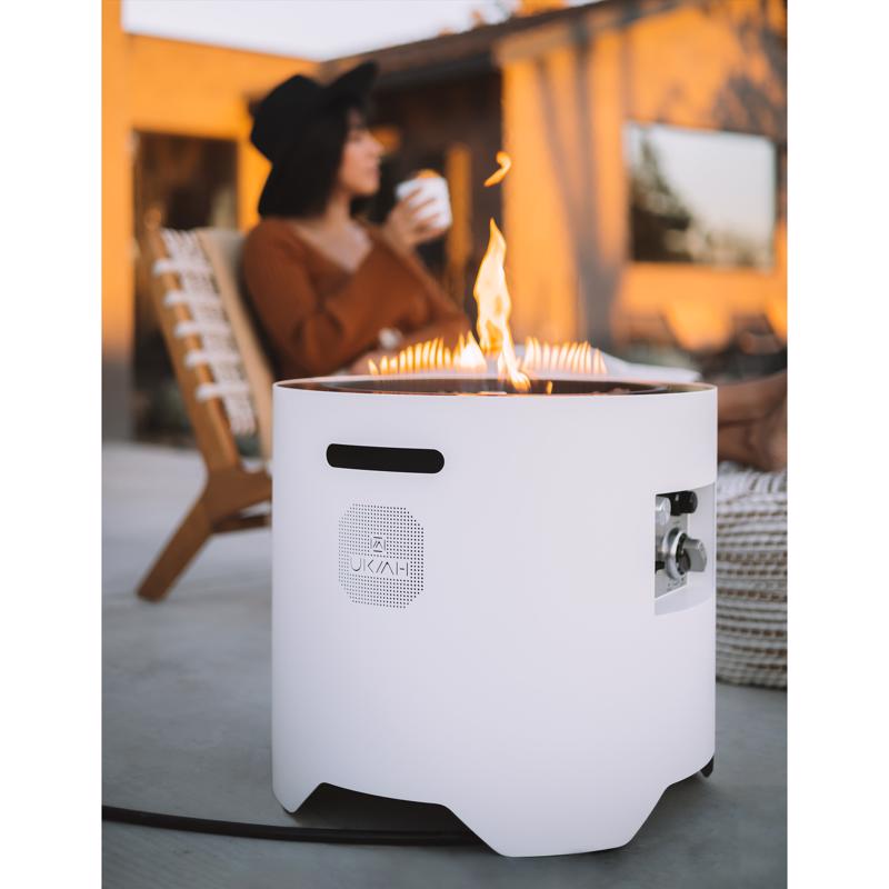 Ukiah Voyager 20 in. W Stainless Steel Round Propane Fire Pit with Sound System