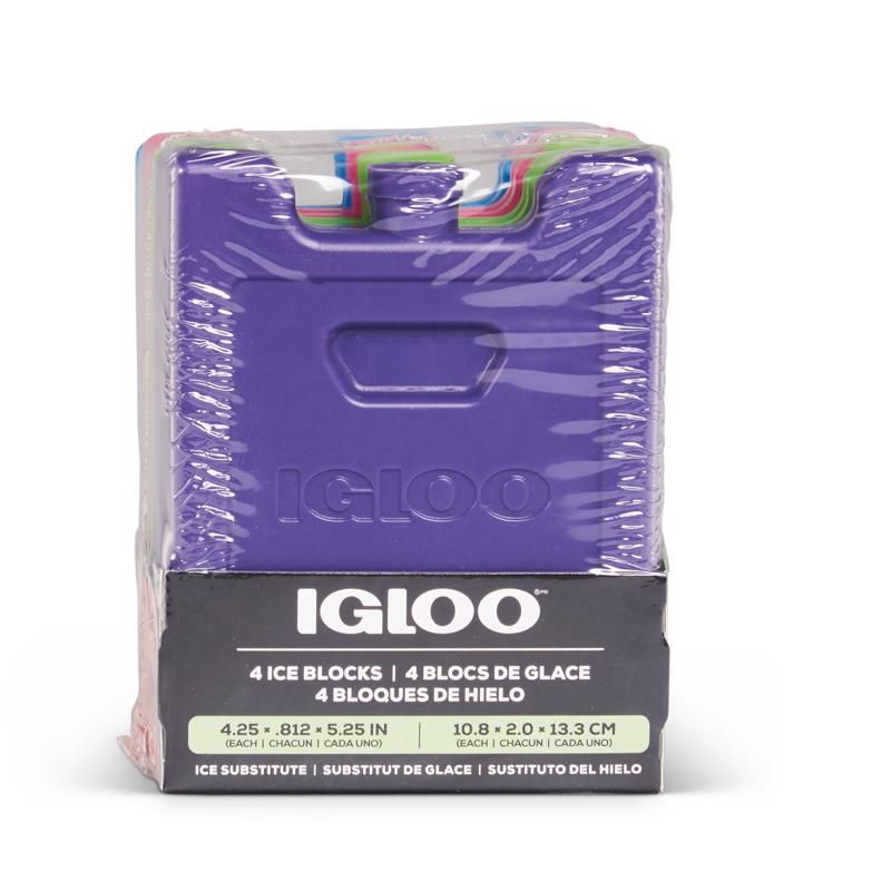 Igloo Ice Pack Assorted 1 pk, Pack of 4