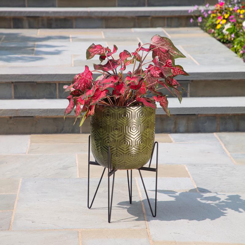 Gardien Black Steel Plant Stand
