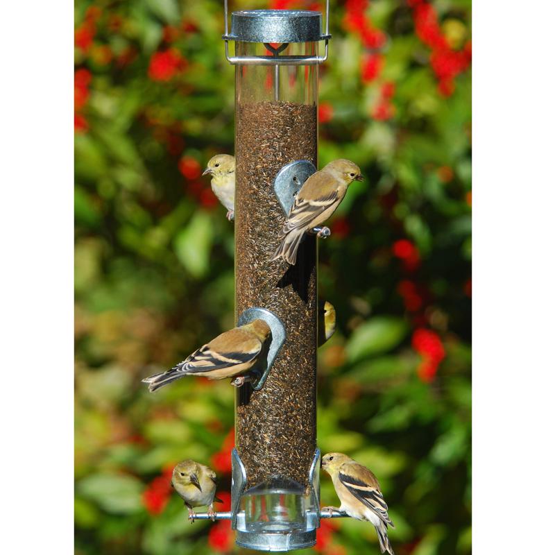 Droll Finch 1 lb Polycarbonate Bird Feeder 6 ports