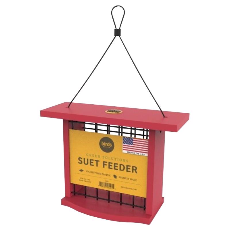 Birds Choice Plastic Suet Bird Feeder, Pack of 4