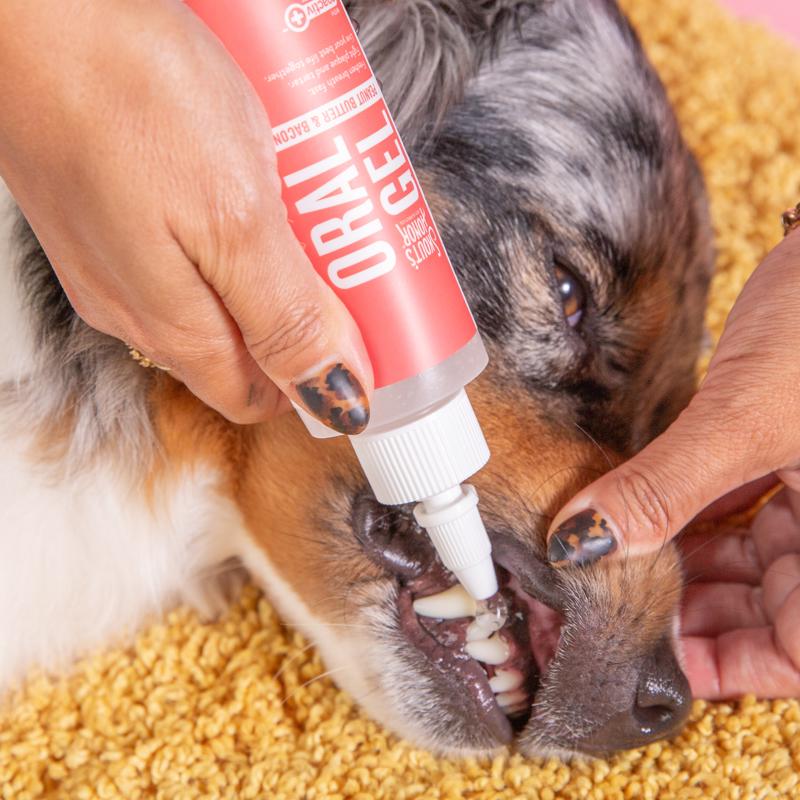 Skout's Honor Dog Dental Clean Gel 4 oz
