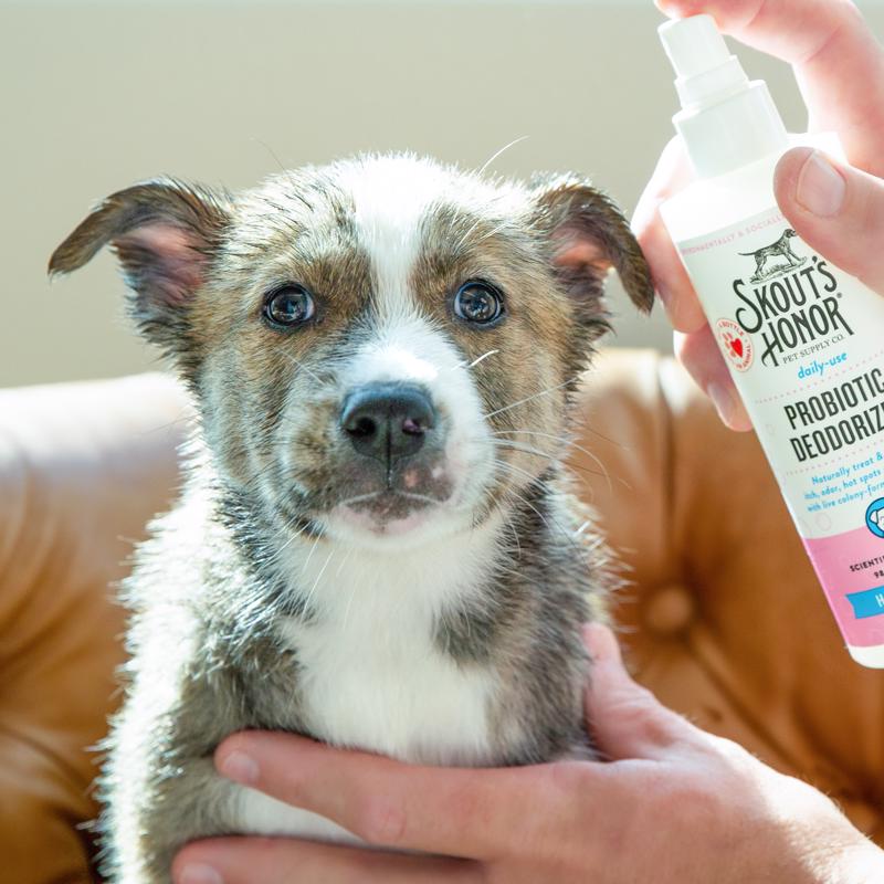 Skout's Honor Lilac and Linen Cat/Dog Deodorizing Spray 8 oz 1 pk