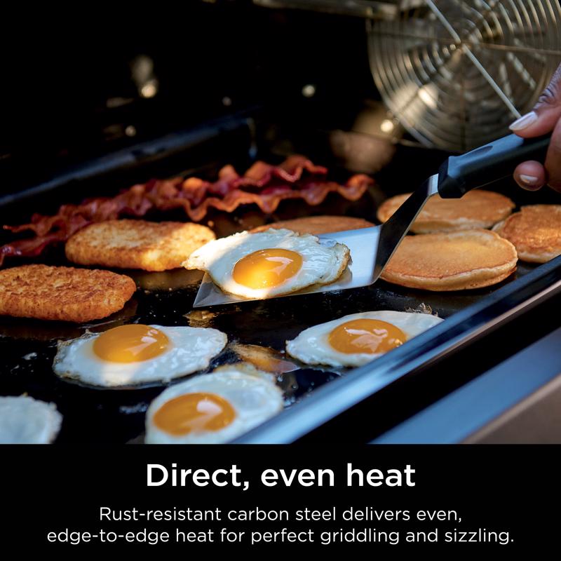 Ninja Grill Grid