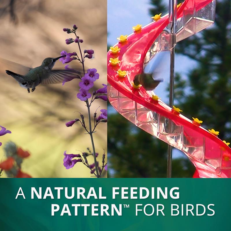 Cascade Hummingbird 23.5 fl. oz. Polypropylene DNA Amethyst Nectar Bird Feeder 32 ports