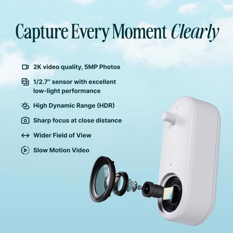 Bird Buddy Hummingbird 1.75 cups Plastic Smart-Enabled Smart Solar Camera Bird Feeder 3 ports