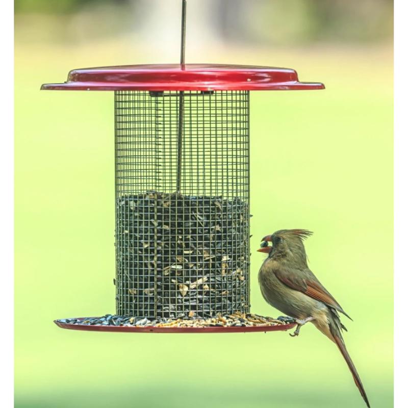 Birds Choice Sunflower 3 lb. cap. Metal Hanging Bird Feeder
