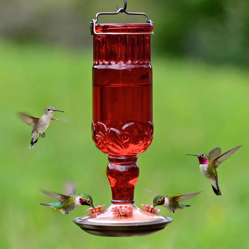 Perky-Pet Hummingbird 24 oz Copper/Glass Antique Bottle Nectar Bird Feeder 4 ports, Pack of 2