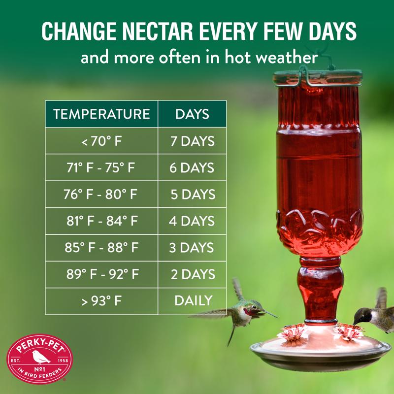 Perky-Pet Hummingbird 24 oz Copper/Glass Antique Bottle Nectar Bird Feeder 4 ports, Pack of 2