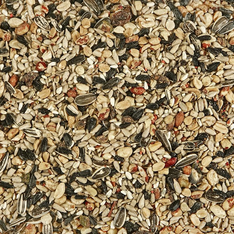 Kaytee Songbird Nut & Fruit Wild Bird Food 10 lb, Pack of 4