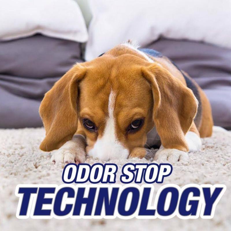 Resolve Pet Oxi Advanced No Scent Carpet Cleaner 22 oz Liquid, Pack of 6