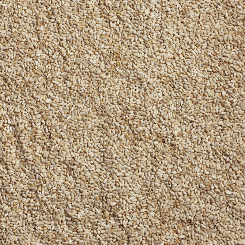 Ace Songbird Safflower Seeds Wild Bird Food 10 lb, Pack of 4