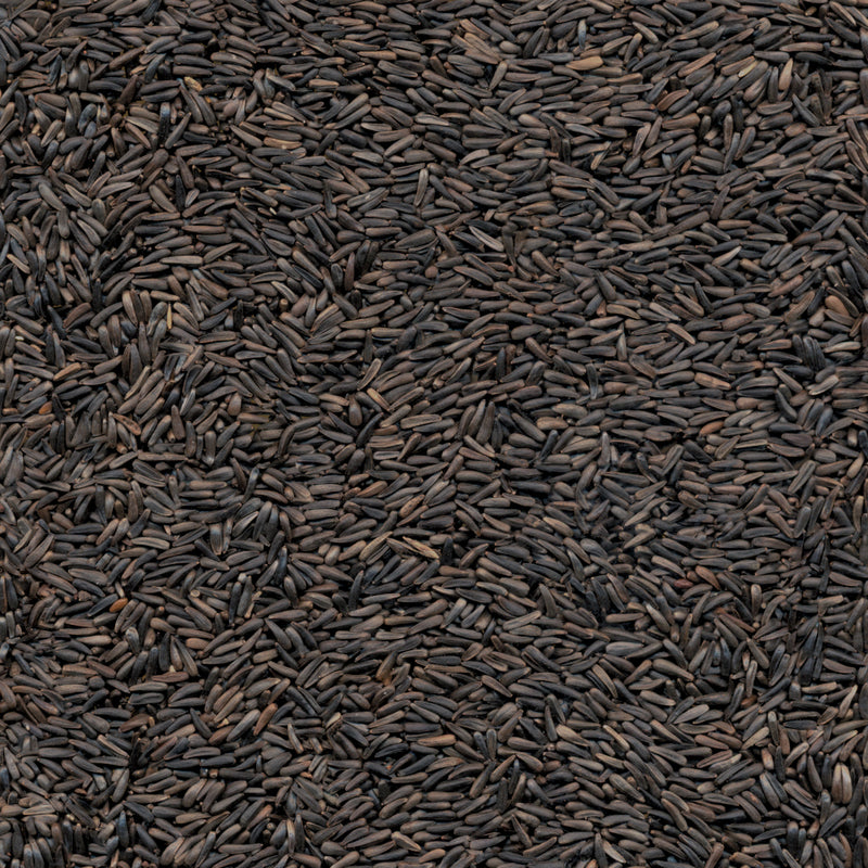 Ace Songbird Thistle Seed Wild Bird Food 3 lb