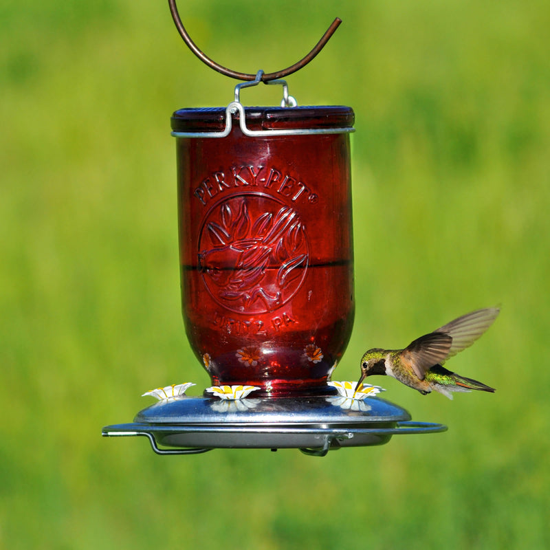 Perky-Pet Hummingbird 32 oz Glass/Metal Mason Jar Nectar Feeder 5 ports, Pack of 2