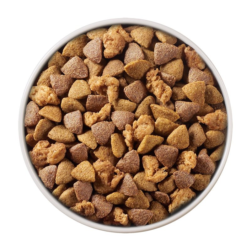 Purina SmartBlend 149396 Dog Food, Dry, Chicken, Rice Flavor, 31.1 lb