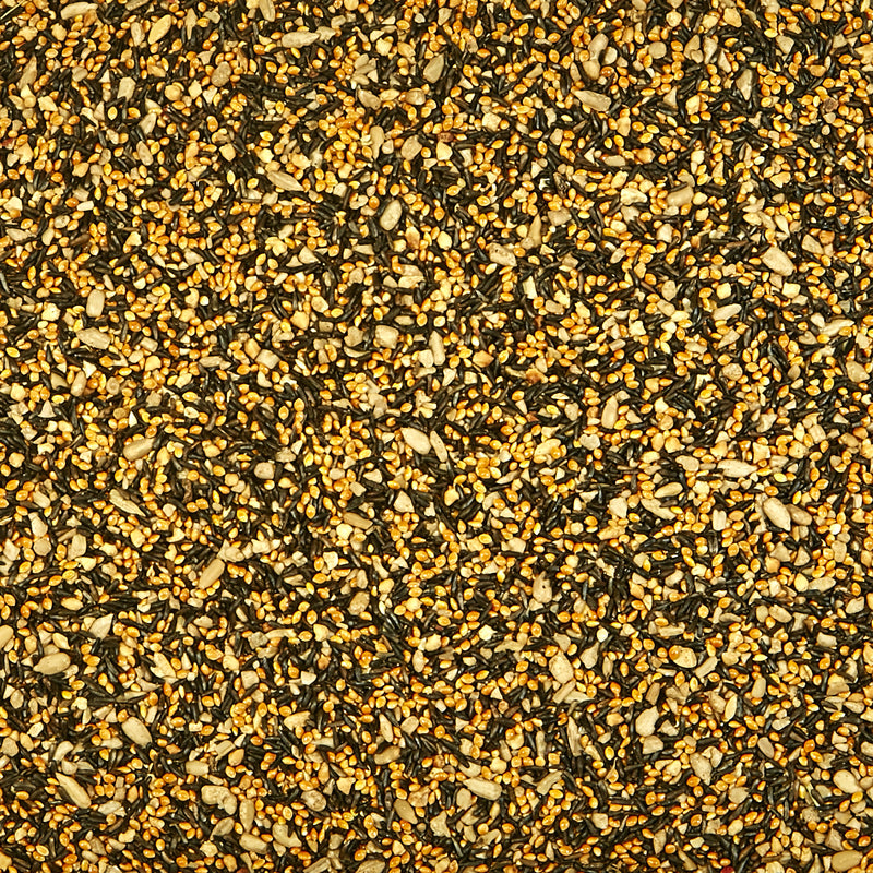 Kaytee Ultra Wild Finch Blend Songbird Niger Seed Wild Bird Food 10 lb, Pack of 4