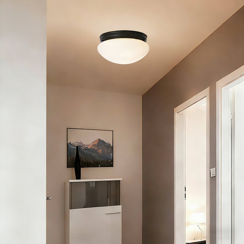 Boston Harbor OG24008 Ceiling Light, 120 V, 2-Lamp, CFL, Incandescent, LED Lamp, Metal Fixture, Matte Black Fixture