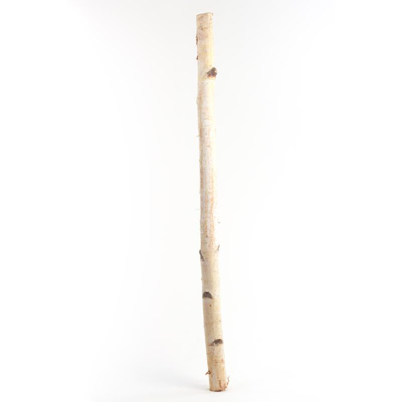 Second Nature Natural Birch Branches 32 in., Pack of 10