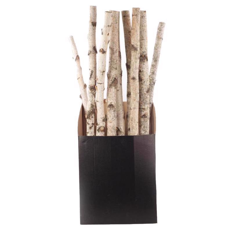 Second Nature Natural Birch Branches 32 in., Pack of 10
