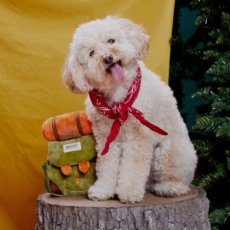 Bark Multicolored Plush Rucksack Dog Toy 1 pk, Pack of 3