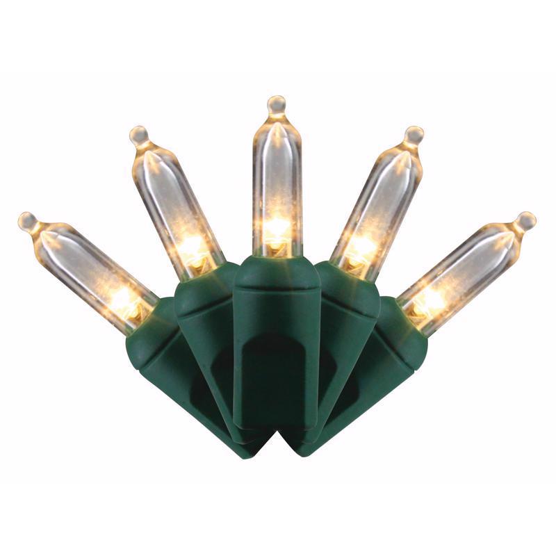 Celebrations Platinum LED T5 Warm White 50 ct String Christmas Lights 25 ft., Pack of 12