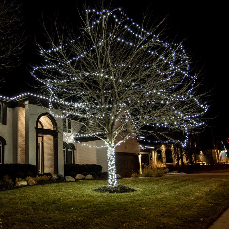 Celebrations Platinum LED C6 Pure White 50 ct String Christmas Lights 25 ft.