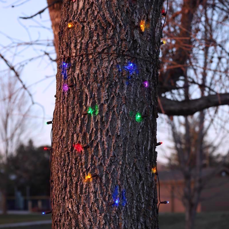 Celebrations Platinum LED Mini Multicolored 100 ct Net Christmas Lights 6 ft.