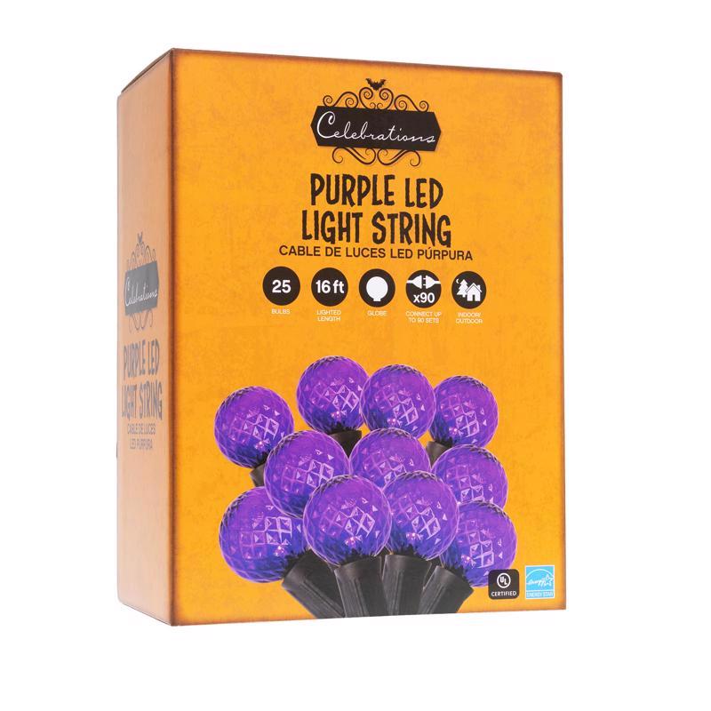 Celebrations Purple 25 ct LED G40 Halloween String Lights