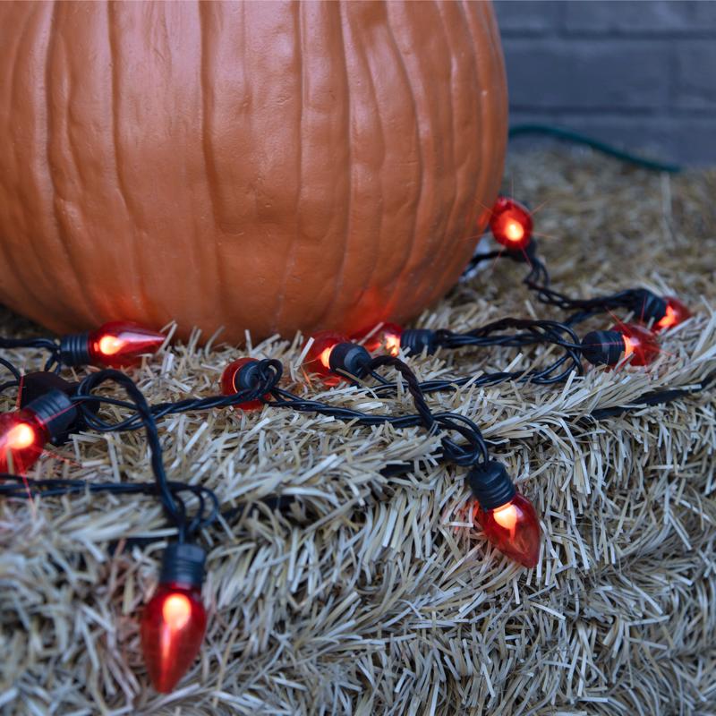 Celebrations Orange 20 ct LED Flicker Flame Halloween String Lights