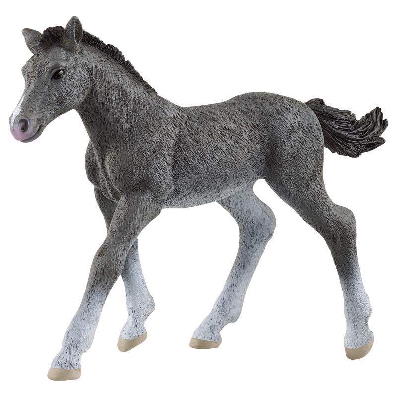 Schleich Trakehner Foal Figurine Gray 1 pc, Pack of 5