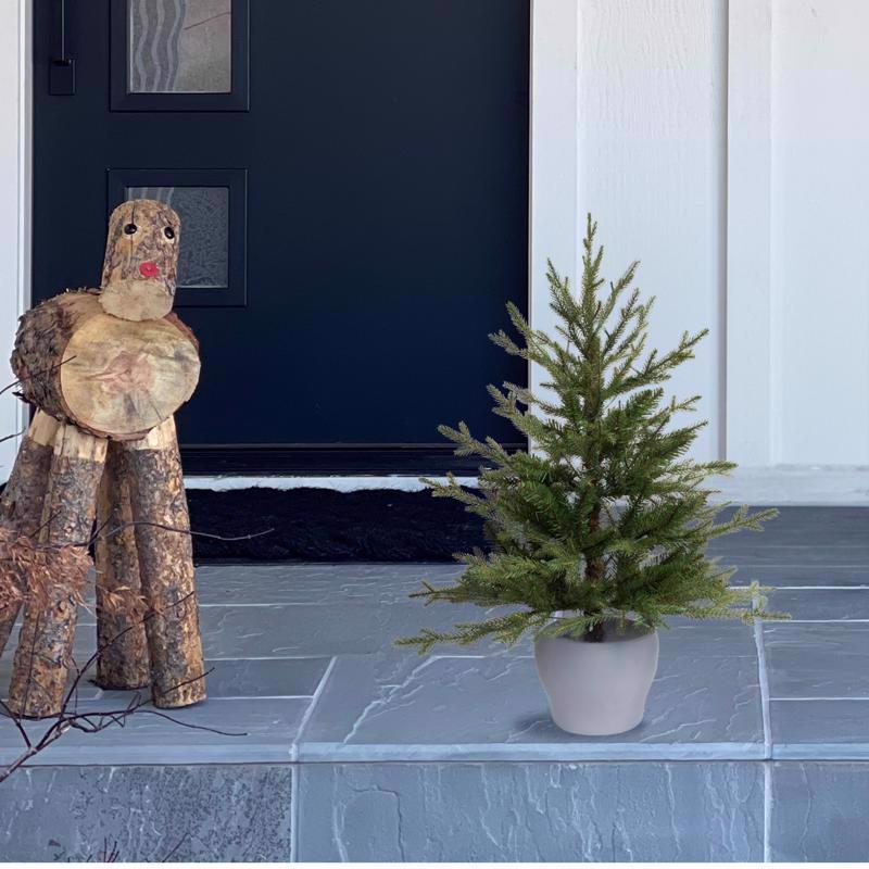 Celebrations 3 ft. Full LED 50 ct Fraser Fir Potted Color Changing Porch Bush