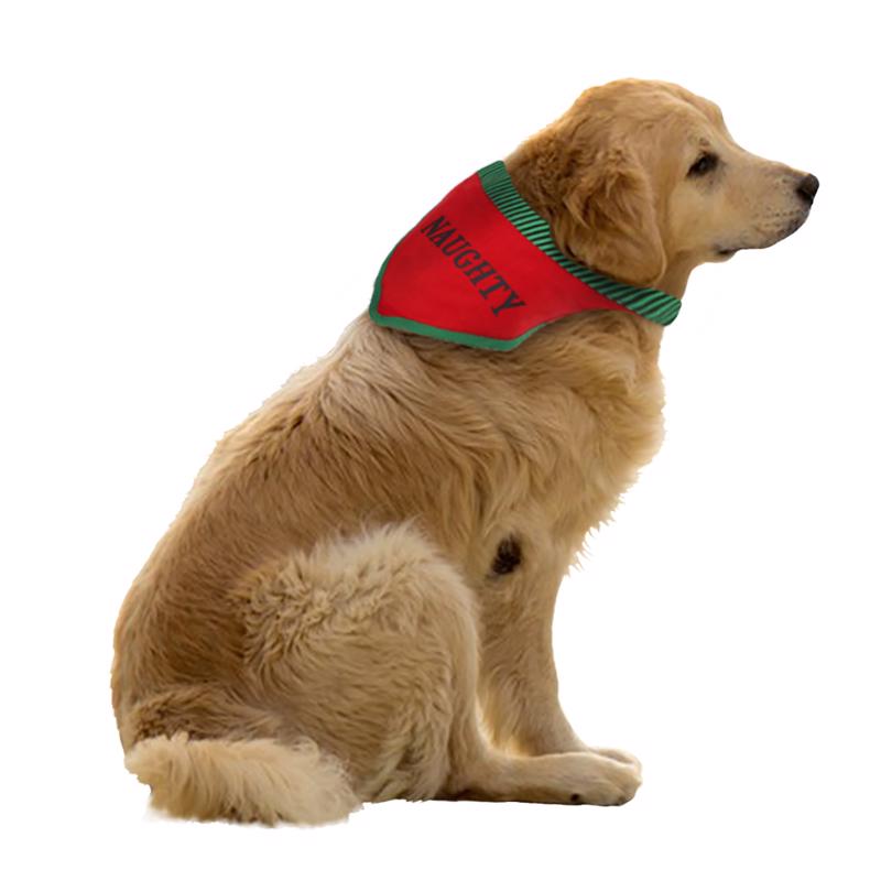 Dyno Bandana Pet Costume 2 pk, Pack of 12