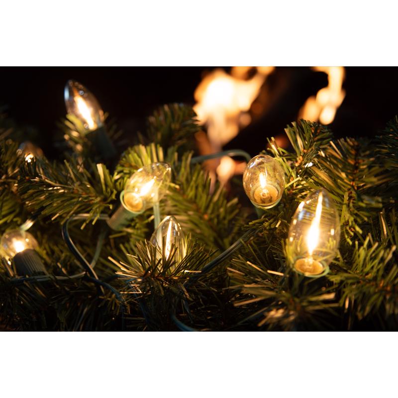 Celebrations Classic LED C9 Warm White 25 ct String Christmas Lights 24 ft.