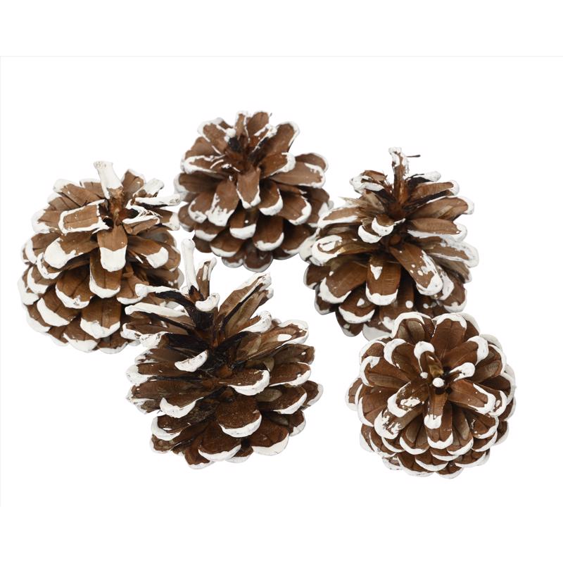Decoris Set of 5 Pinecones 5.91 in., Pack of 36
