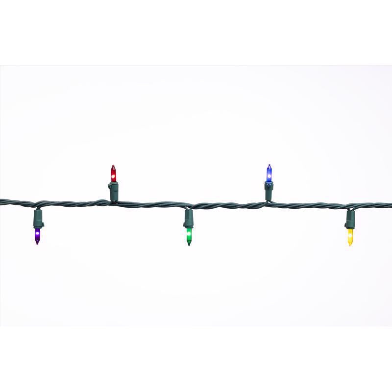 Celebrations Classic LED T5 Multicolored 100 ct String Christmas Lights 24.75 ft., Pack of 12