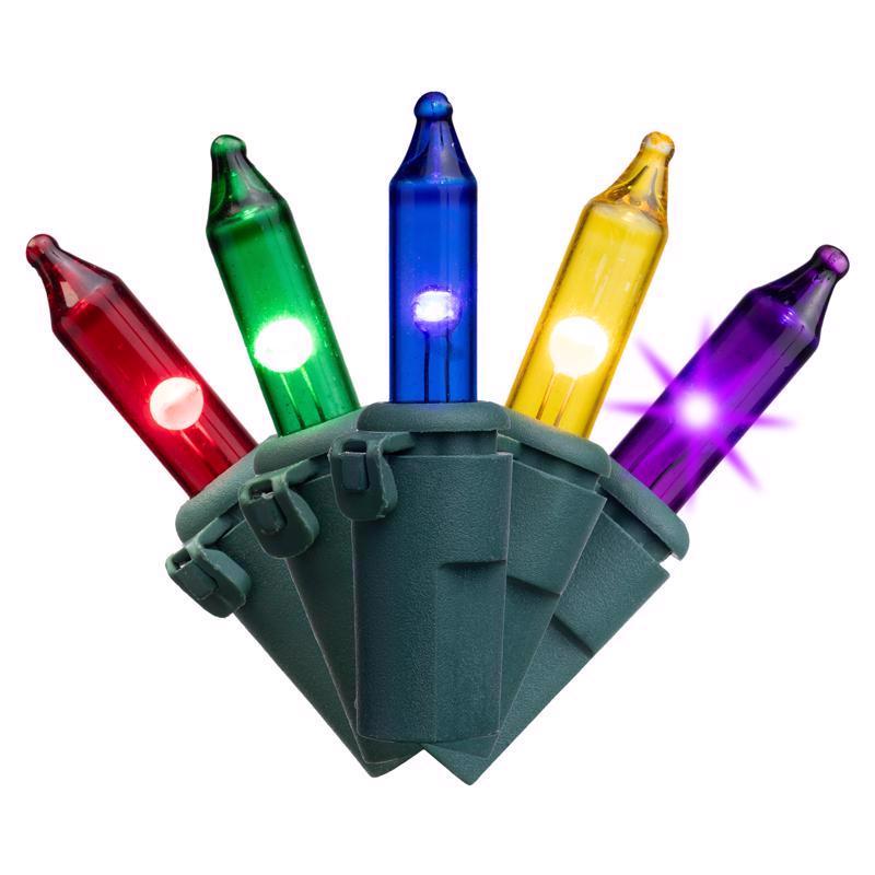 Celebrations Classic LED T5 Multicolored 100 ct String Christmas Lights 24.75 ft., Pack of 12