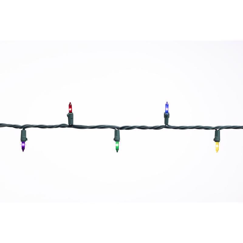 Celebrations Classic LED T5 Multicolored 100 ct String Christmas Lights 24.75 ft., Pack of 12