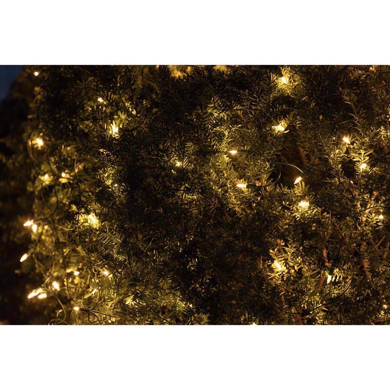 Celebrations Classic LED T5 Warm White 100 ct Net Christmas Lights 4 ft.