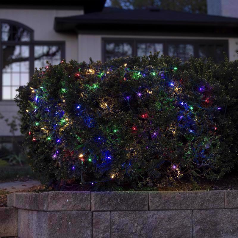 Celebrations Classic LED T5 Multicolored 100 ct Net Christmas Lights 4 ft.