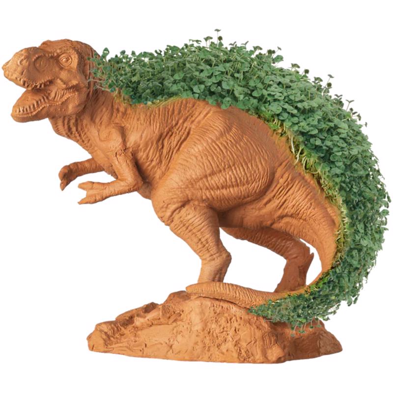 Chia Pet Dinosaur TRex Decorative Planter Terracotta Clay 1 pk, Pack of 16