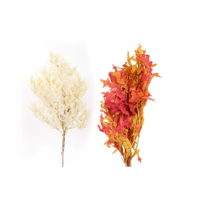 Second Nature Woodsy Oak Leaves Fall Decor, Pack of 24