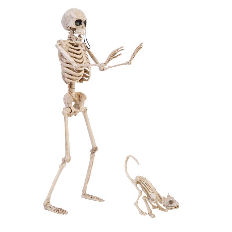 Fun World 14 in. Skeleton Walker Asst Halloween Decor, Pack of 12