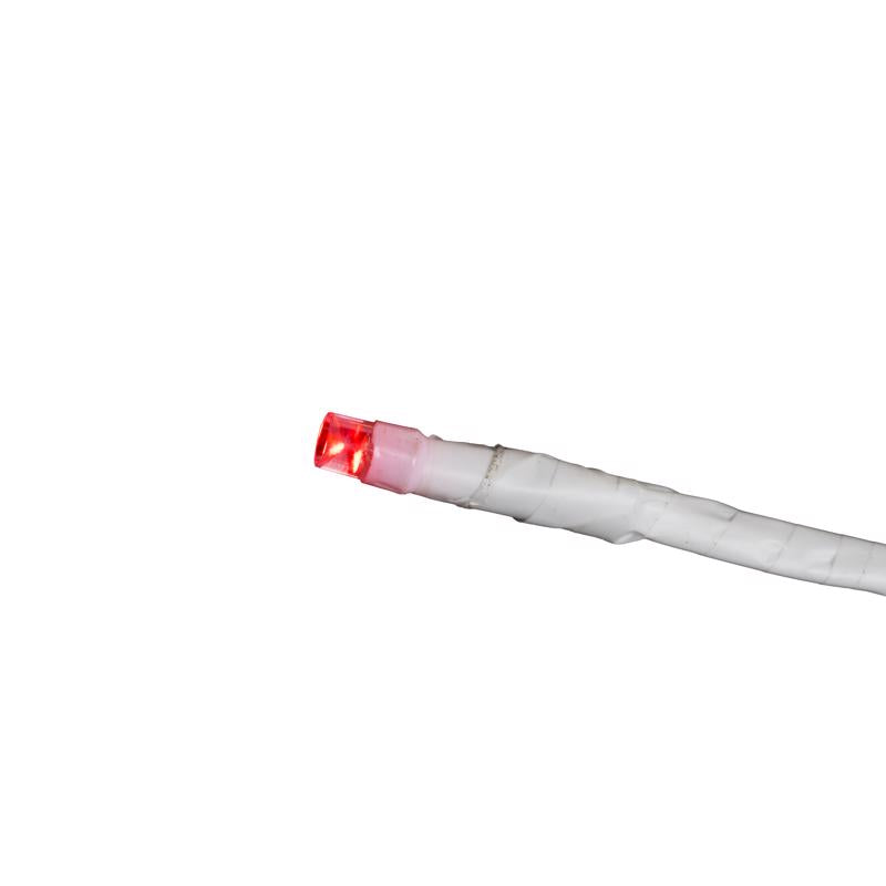 Celebrations LED Red/White Starlight Burst Deluxe 24 in. Hanging Decor