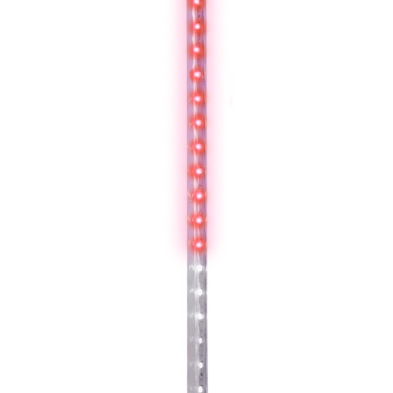 Celebrations LED Multicolored Christmas Lights