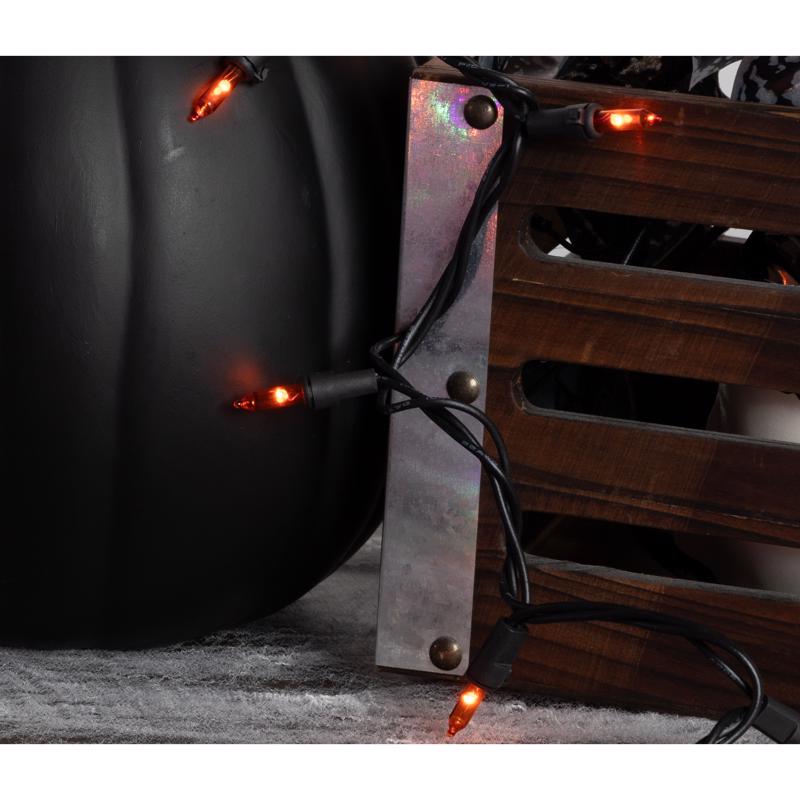 Celebrations Orange 100 ct LED String Lights